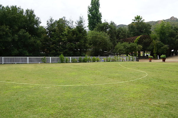 Calimigos.Back.40.08 Calimigos.Back.40.08