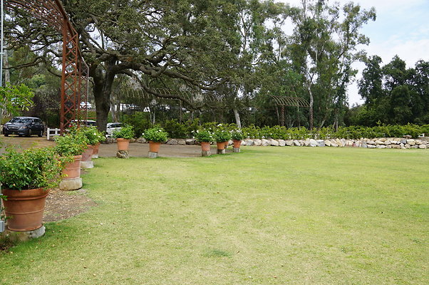 Calimigos.Back.40.13 Calimigos.Back.40.13