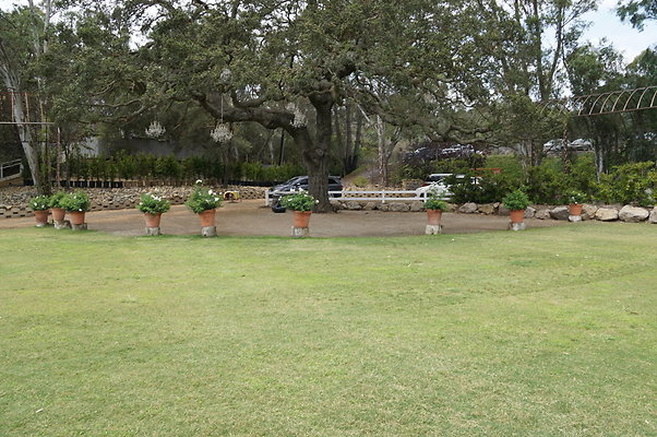 Calimigos.Back.40.11 Calimigos.Back.40.11