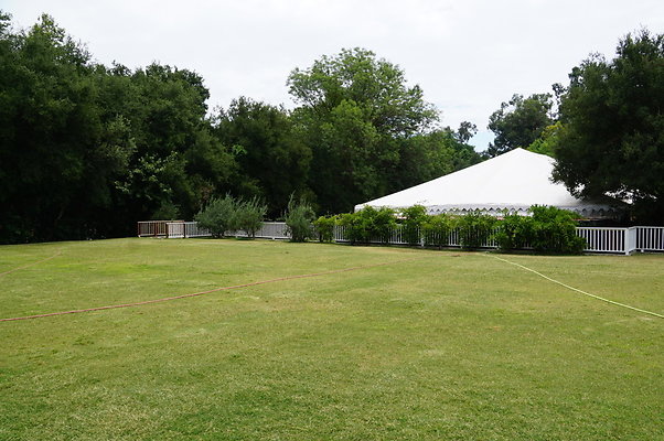 Calimigos.Back.40.06 Calimigos.Back.40.06