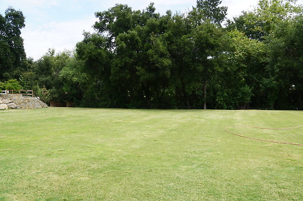 Calimigos.Back.40.04 Calimigos.Back.40.04