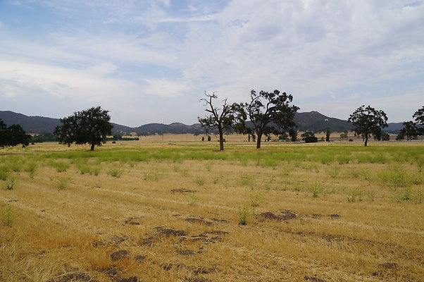 JMJ.Ranch.Hay.2.02 JMJ.Ranch.Hay.2.02