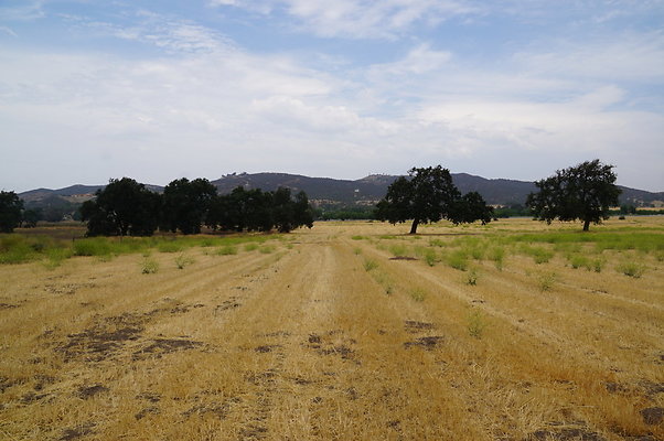 JMJ Farms.Hay Field 2
