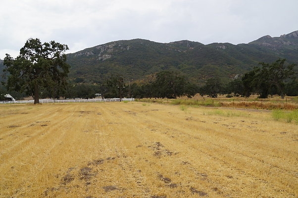 JMJ.Ranch.Hay.2.22 JMJ.Ranch.Hay.2.22