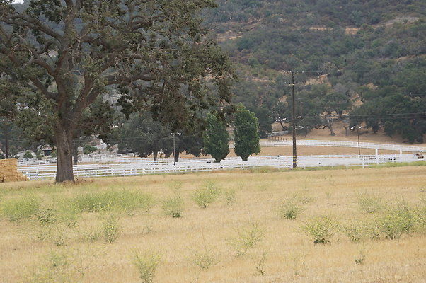 JMJ.Ranch.Hay.2.20 JMJ.Ranch.Hay.2.20