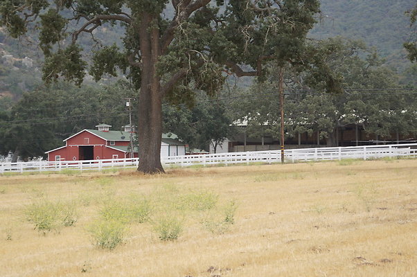 JMJ.Ranch.Hay.2.21 JMJ.Ranch.Hay.2.21