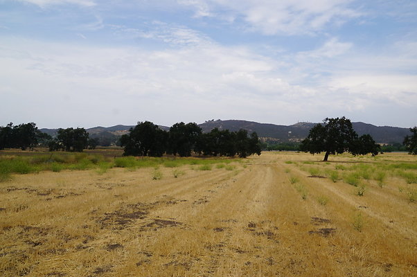 JMJ.Ranch.Hay.2.11 JMJ.Ranch.Hay.2.11