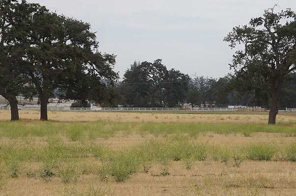 JMJ.Ranch.Hay.2.18 JMJ.Ranch.Hay.2.18