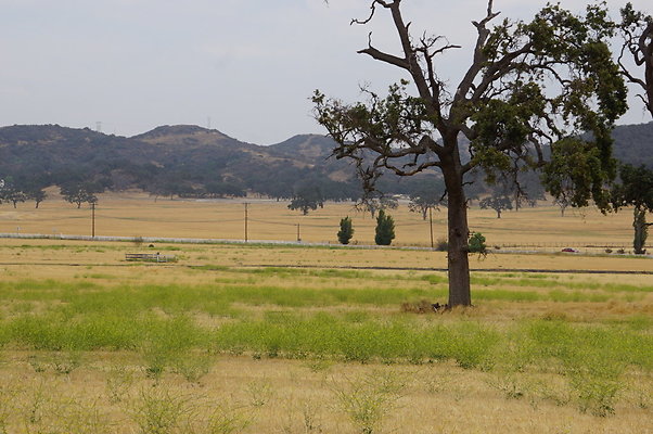 JMJ.Ranch.Hay.2.16 JMJ.Ranch.Hay.2.16