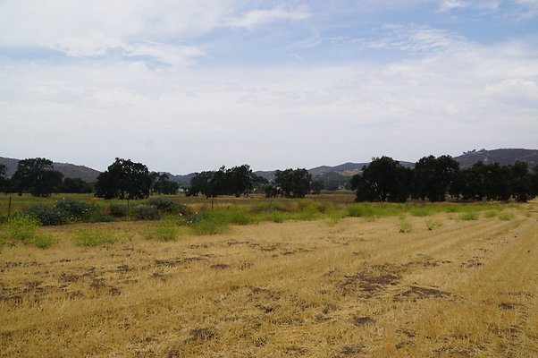 JMJ.Ranch.Hay.2.10 JMJ.Ranch.Hay.2.10