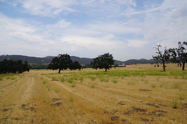 JMJ.Ranch.Hay.2.12 JMJ.Ranch.Hay.2.12