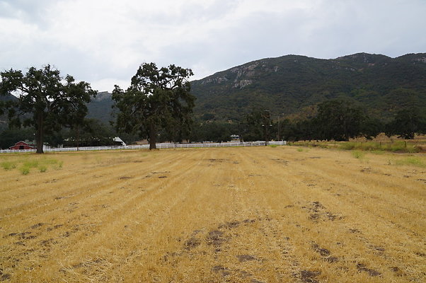 JMJ.Ranch.Hay.2.06 JMJ.Ranch.Hay.2.06