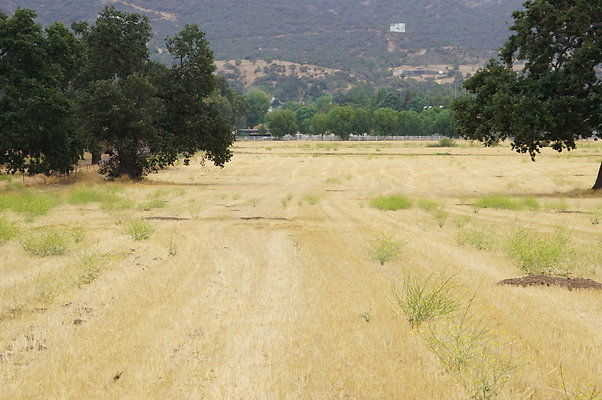 JMJ.Ranch.Hay.2.13 JMJ.Ranch.Hay.2.13