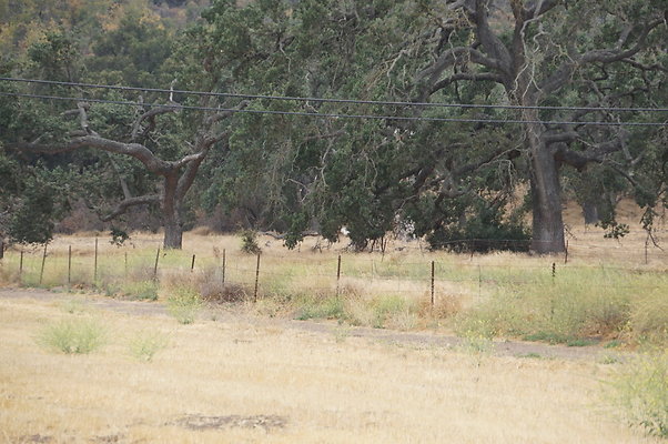 JMJ.Ranch.Hay.2.24 JMJ.Ranch.Hay.2.24