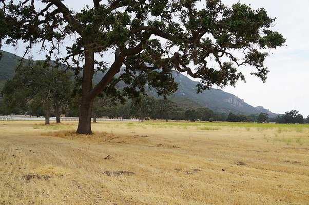 JMJ Farms.Hay Field 1