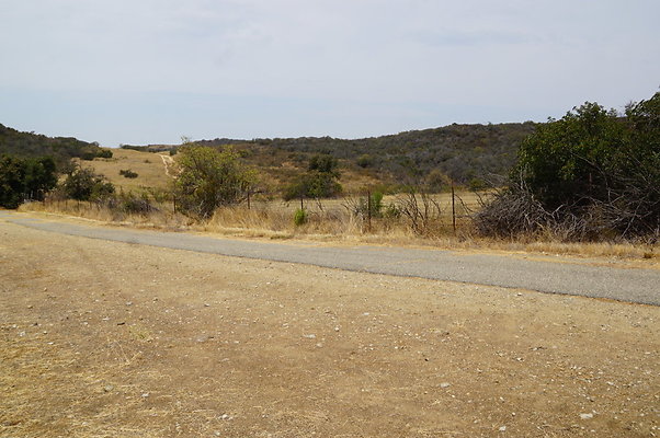 VF.Upper.Mesa.17