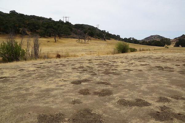 VF.China.Flats.12 VF.China.Flats.12