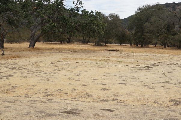 VF.China.Flats.20 VF.China.Flats.20