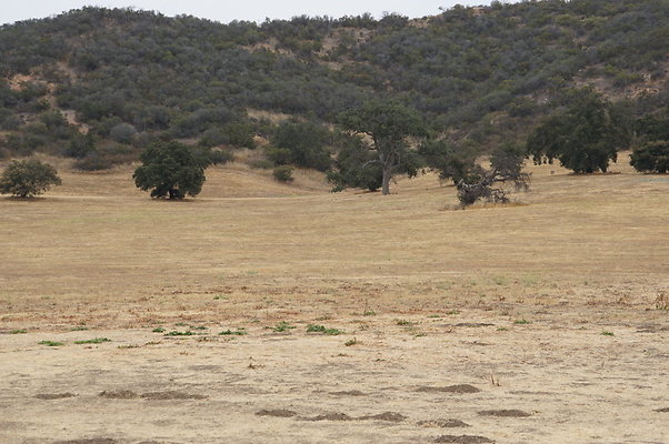 VF.China.Flats.18 VF.China.Flats.18