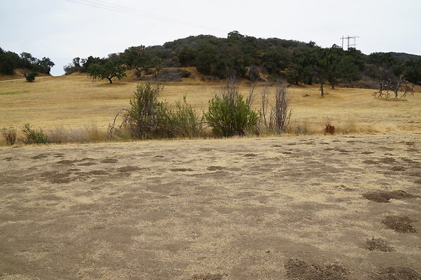 VF.China.Flats.11 VF.China.Flats.11