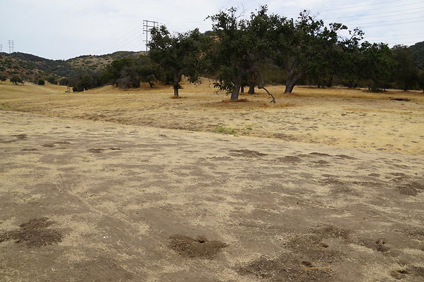 VF.China.Flats.15 VF.China.Flats.15