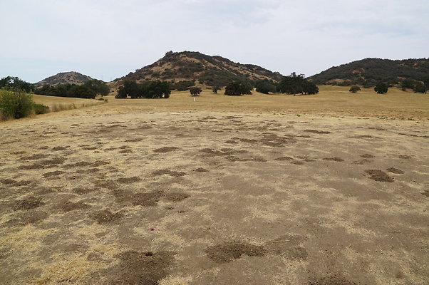 VF.China.Flats.13 VF.China.Flats.13