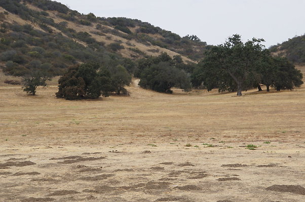 VF.China.Flats.17 VF.China.Flats.17