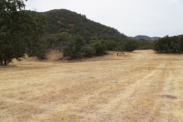 VF.Cabin Meadow