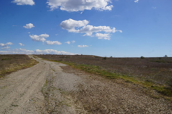 MCRA.UV..Road.By.Tree.09