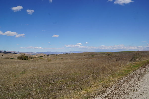 MCRA.UV..Road.By.Tree.28