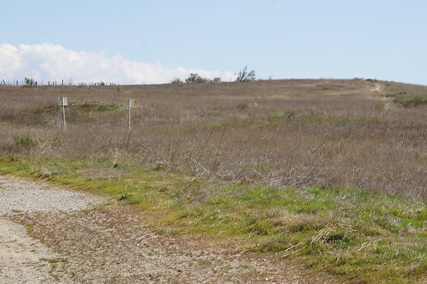 MCRA.UV..Road.By.Tree.18