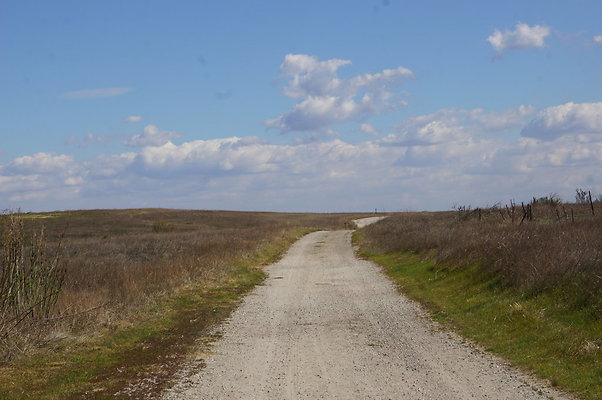 MCRA.UV..Road.By.Tree.32