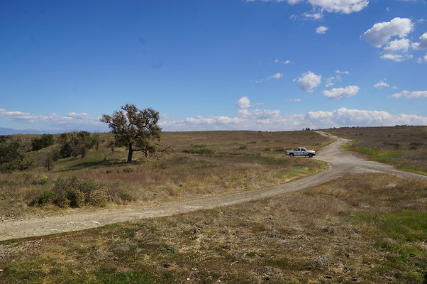 MCRA.UV.Money.Tree.06 MCRA.UV.Money.Tree.06