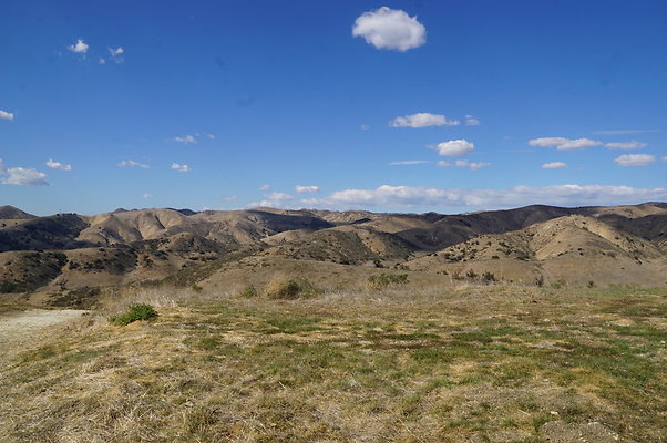 MCRA.UV.Money.Tree.02 MCRA.UV.Money.Tree.02