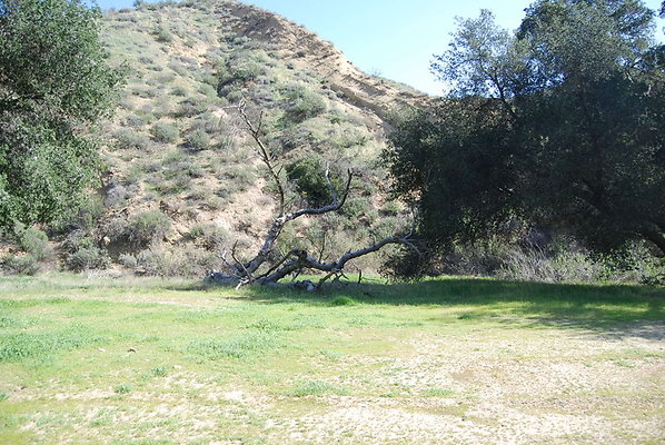 Blue.Cloud.Ranch.171