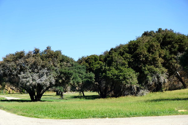 Gor.Heil Canyon.09