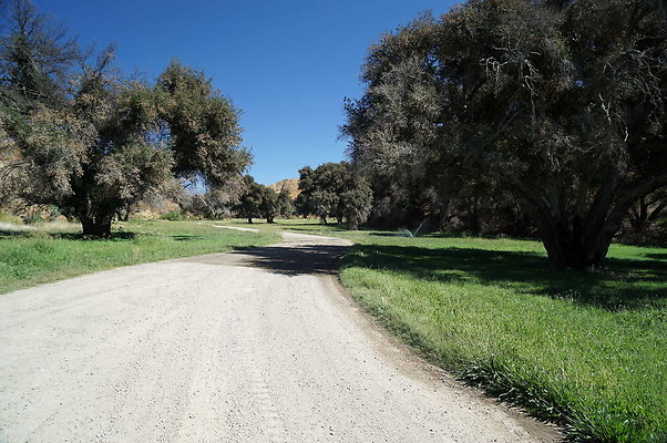 Gor.Heil Canyon.10