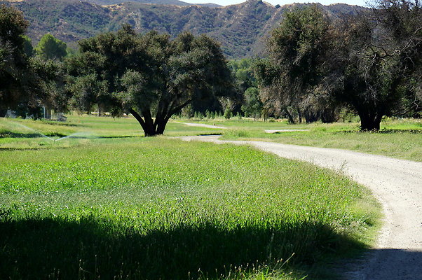Gor.Heil Canyon.32