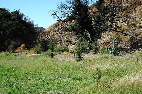 Gor.Heil Canyon.18