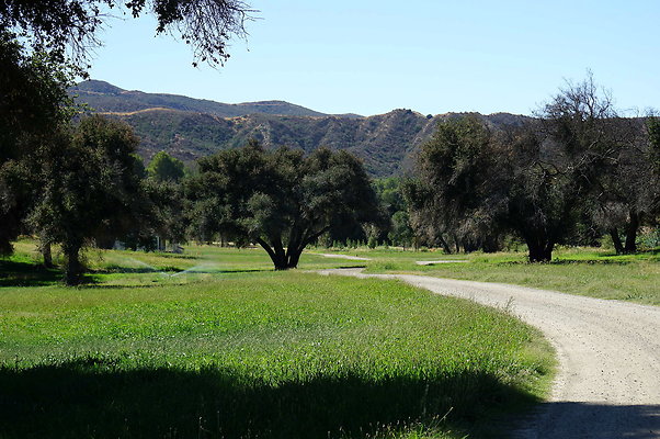 Gor.Heil Canyon.31