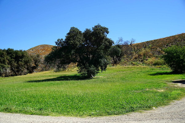 Gor.Heil Canyon.39