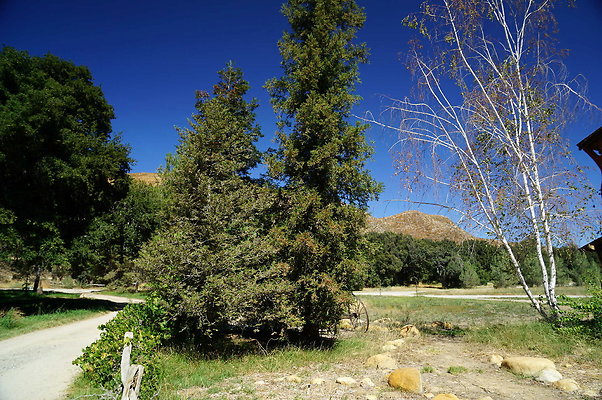 GOR.Lake.Cabin.Bridge.07