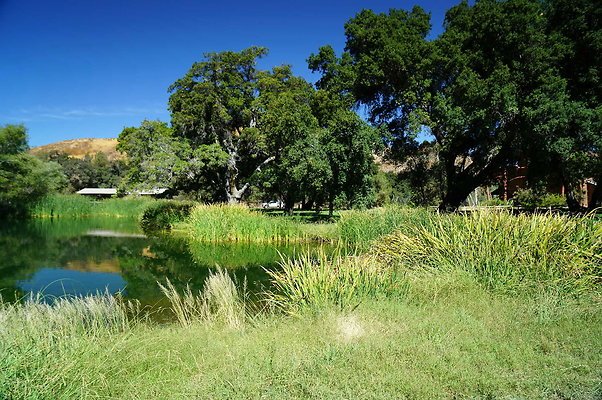 GOR.Lake.Cabin.Bridge.27