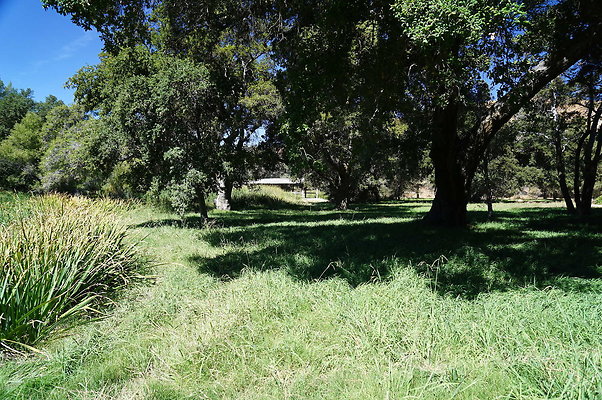 GOR.Lake.Cabin.Bridge.31