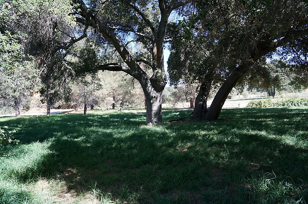 GOR.Lake.Cabin.Bridge.43