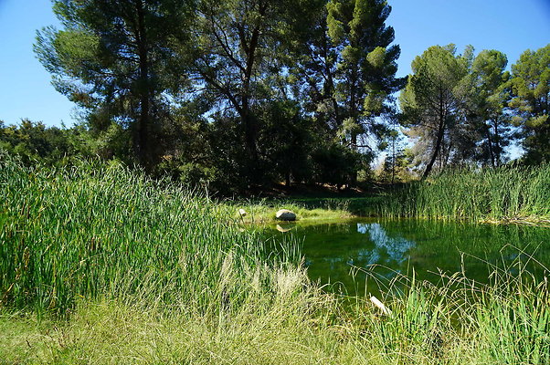 GOR.Lake.Cabin.Bridge.25