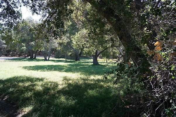 GOR.Lake.Cabin.Bridge.45