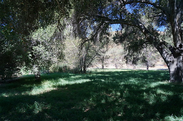GOR.Lake.Cabin.Bridge.39