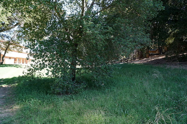 GOR.Lake.Cabin.Bridge.33