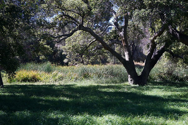 GOR.Lake.Cabin.Bridge.14